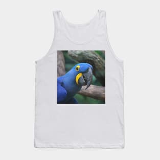 Blue Hyacinth Macaw Tank Top